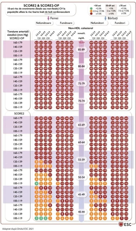 Un ghid util: Diagrama de evaluare a riscului cardiovascular Un ghid util: Diagrama de evaluare a riscului cardiovascular